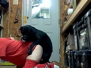 Men getting fucked by dogs