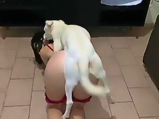 Dog fucks girl anal
