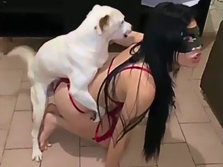 Dog fucks girl anal