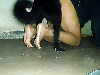 Dog fucking gay ass