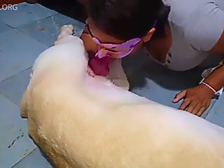 Latina bestiality porn