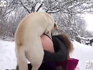 Zoo fuck compilation