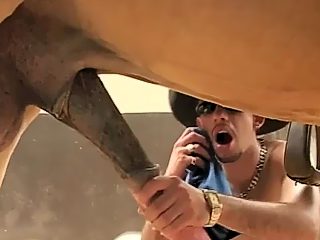 Man sucking horse cock